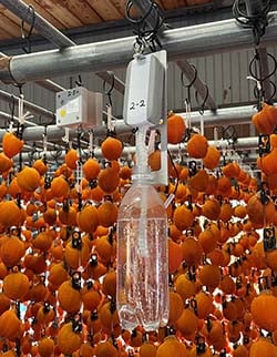 熊谷さん宅で活用している「重量・温湿度遠隔監視システム」