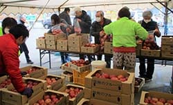 もなりんで行ったりんご祭の様子