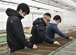 手作業で慎重に種をまく指導員ら（安曇野市堀金）