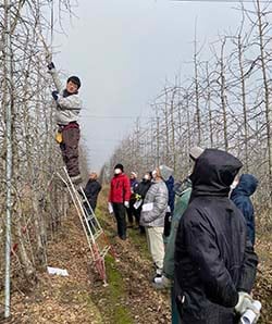 剪定作業を説明する今井技術員