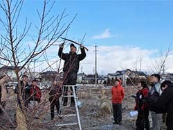 伊達大藤流仕立てを学ぶmomoLabメンバー