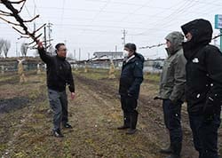 ブドウ栽培状況をグリーン長野の営農技術員が説明