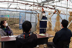 ブドウの栽培方法で説明を受ける参加者（2月19日、佐久市塚原の実証圃で）