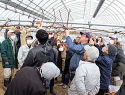 剪定作業を学ぶ参加者