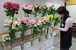 展示で学びを深める来館者