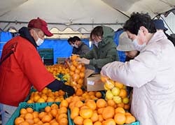 めっけもん市場の詰め放題を楽しむ来場者