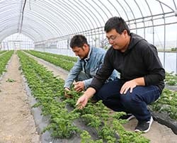 生育状況を確認する部会員
