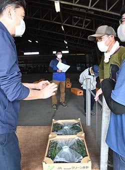 市場担当者（左）と情報共有する生産者とJA担当