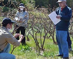 実演を見て手順を確認する生産者