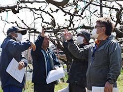 花の状態を確認する生産者ら