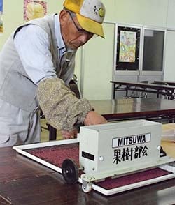 専用のトレーに葯を広げる生産者