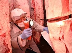 真剣な表情で枝肉の品質を確かめる参加者