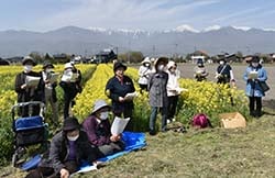 満開の菜の花畑で合唱を楽しむ会員ら