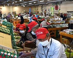早朝から新鮮な農産物を出荷する会員ら（安曇野市豊科：23年6月19日）