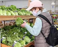 野菜を買い求める利用者