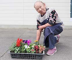 花苗を届ける小沢会長（30日、長野県松本市で）