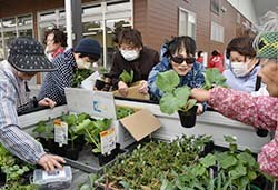 苗を買い求める来場者ら（安曇野市豊科）