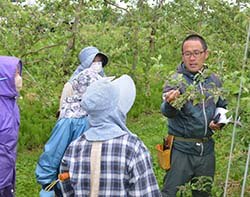 効率的な摘果を呼びかける講習会の様子