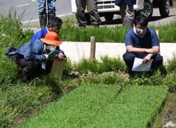 調査を行うJA職員ら
