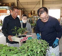 早朝から行った野菜苗の引き渡し