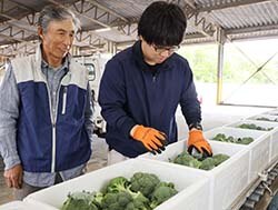 職員と出荷したブロッコリーの出来栄えを確認する清水さん（左）