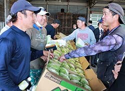 出荷規格を確認する生産者