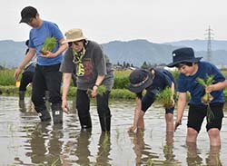 家族で田植えをする参加者ら