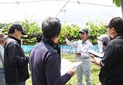 実演などを交えながら説明するJA営農技術員