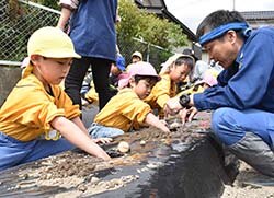 部員と一緒に作業を楽しむ園児ら