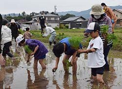 丁寧に苗を植える子どもたち
