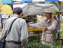 菊苗の育て方をアドバイスする奥山会長