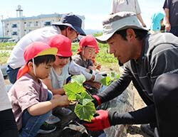 園児と一緒に野菜苗を植える青年部員