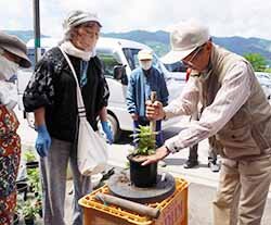 植え方の手本を見せる奥山会長