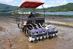 田植え機で直播作業をすすめる