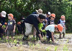 親子で楽しく田植えをする児童