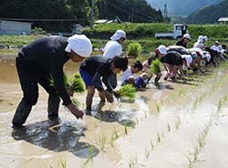 青壮年部員も間に入って子どもたちと田植え