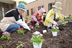 「恋月荘」で花壇に色とりどりの花苗を植える参加者
