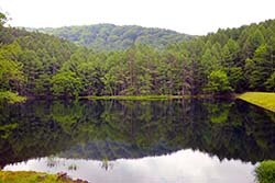 笹原土地改良区が維持・管理する「御射鹿池」。湖面にカラマツの木が映る