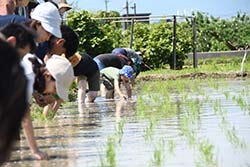 「何かいた！」と作業の合間に虫捕りに挑戦