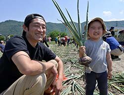 玉ねぎの収穫を楽しむ准組合員親子