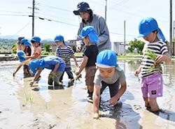 一生懸命手植えで行った田植え