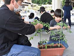 家族で定植作業を楽しむ参加者