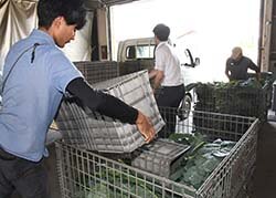 出荷物を鉄コンテナに移すJA職員と生産者