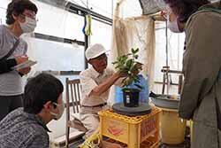 誘引作業の手本を見せる奥山会長