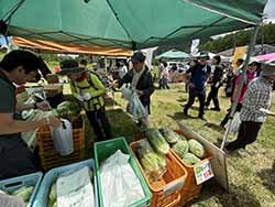 地元の農産物を販売