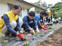 はらむら悠生寮に花苗を植える参加者