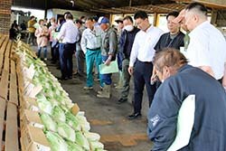 出荷規格を確認する生産者ら（6月10日、佐久市・JA長者原予冷庫で）