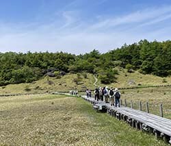 池の平湿原をウオーキング