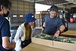 出荷規格を確認する部会員たち