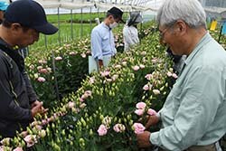 収穫の目安を伝える生産者（右）